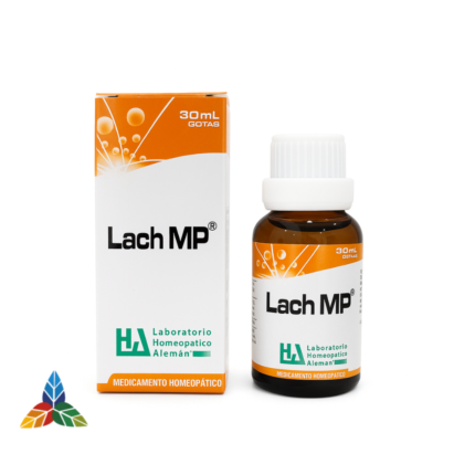 LACH MP