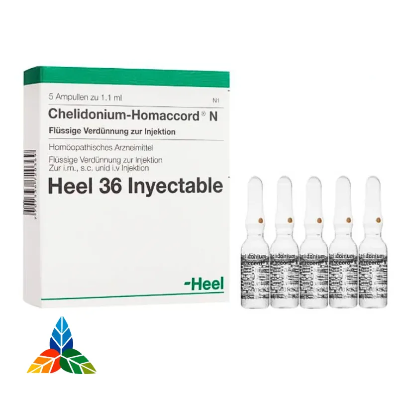 CHELIDONIUM-HOMACCORD AMP X1.1 ML