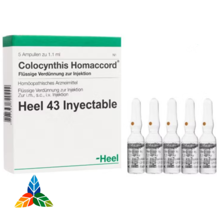COLOCYNTHIS HOMACCORD AMPOLLA X 1.1ML