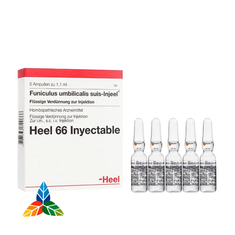 FUNICULUS UMBILICALIS SUIS-INJEEL 1.1 ML AMPOLLA