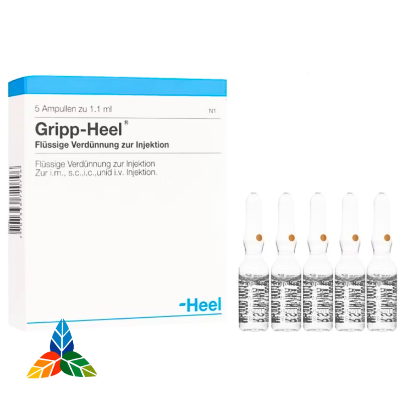 GRIPP-HEEL AMP X 1.1ML AMPOLLA