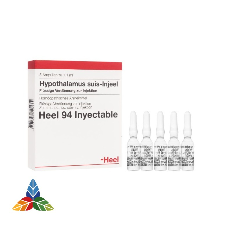 Hypothalamus Suis Injeel ampolla