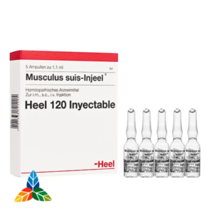 Musculus suis injeel ampolla