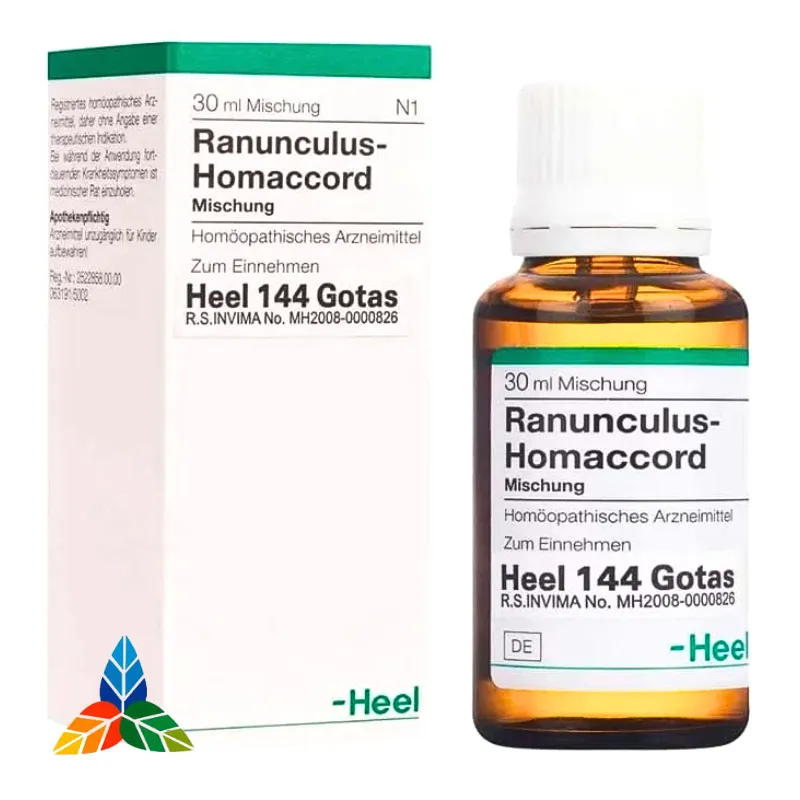 Ranunculus Homaccord Gotas