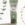 Harumi Ginseng Aqua Sun Cream SPF50