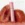Rom&nd The Juicy Lasting Tint