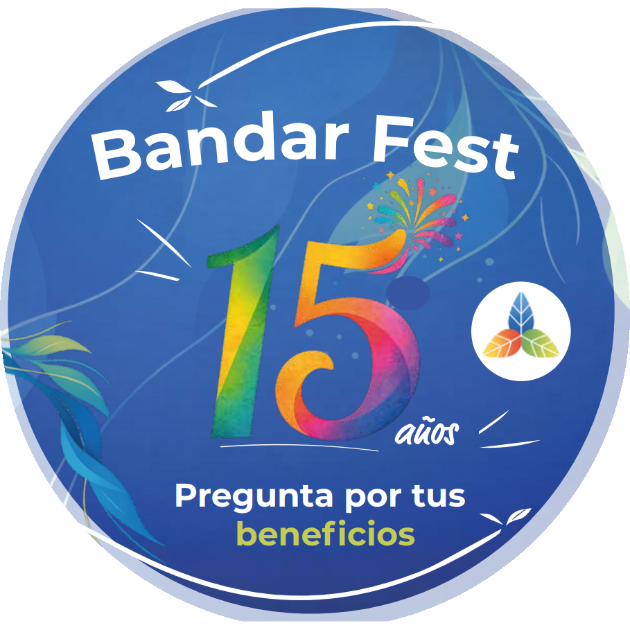 Bandar 15 años