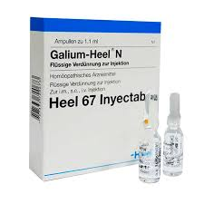 Galium heel ampollas