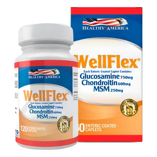 WELLFLEX GLUCOSAMINE CHONDROITIN MSA 750 MGX 120 CAPSULAS