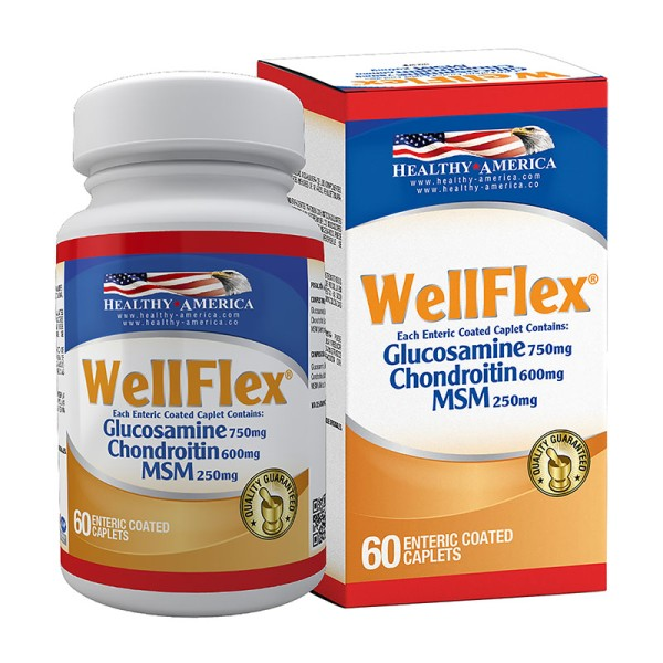 WELLFLEX GLUCOSAMINE CHONDROITIN MSA 750MG * 60 CAPSULAS