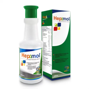 HEPAMOL JARABE X 240